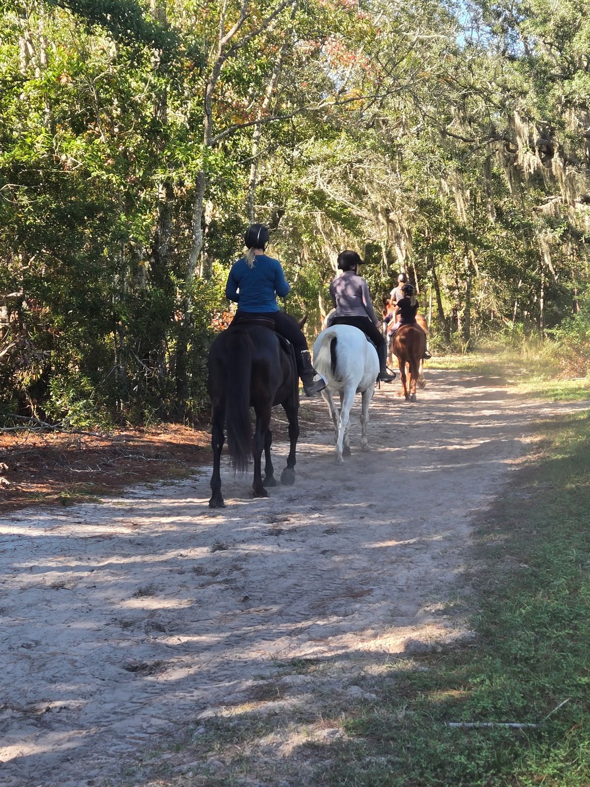 Navarre Equestrian Center
