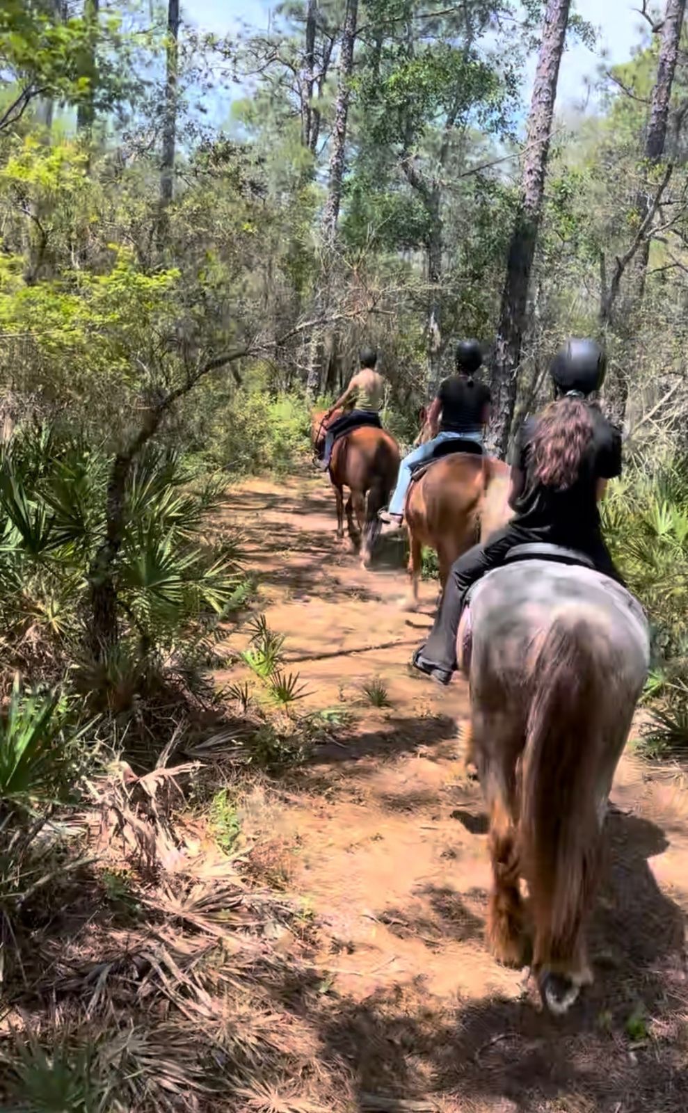 Navarre Equestrian Center
