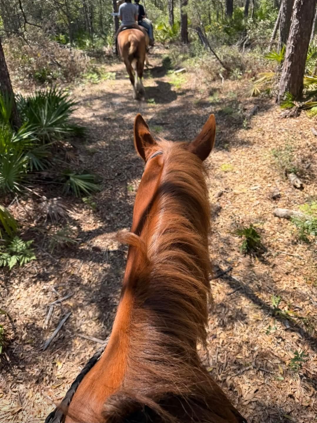 Navarre Equestrian Center