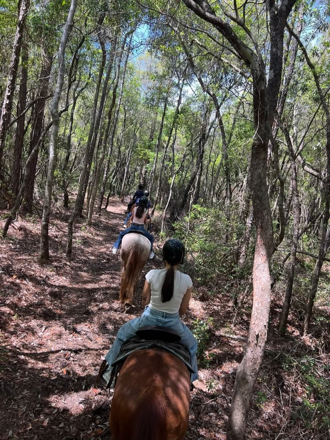Navarre Equestrian Center